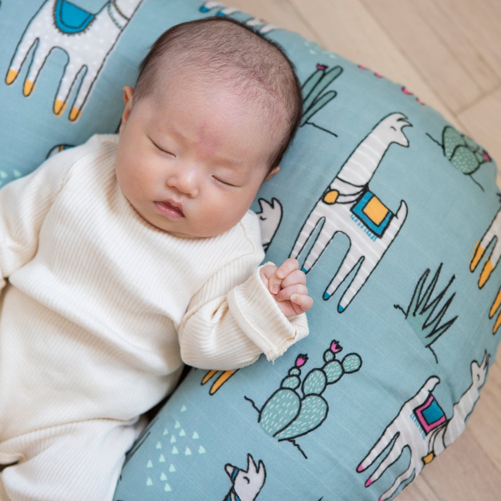 Boppy Pillow Covers